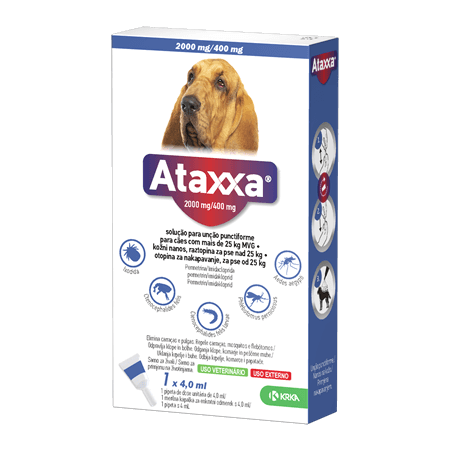 Ataxxa 2000 mg/400 mg - Para cães com mais de 25 Kg - 1 pipeta